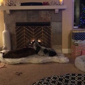 Meet your Posher, Josh